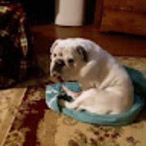 Meet your Posher, Kathy